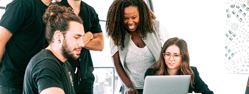 Web Development Team