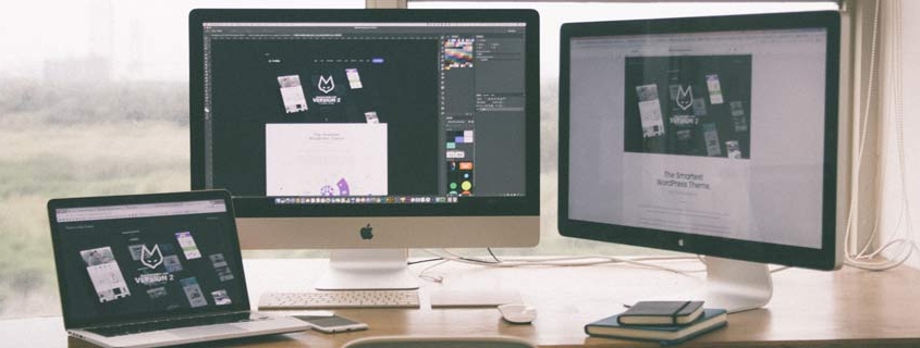 Professional Web Development