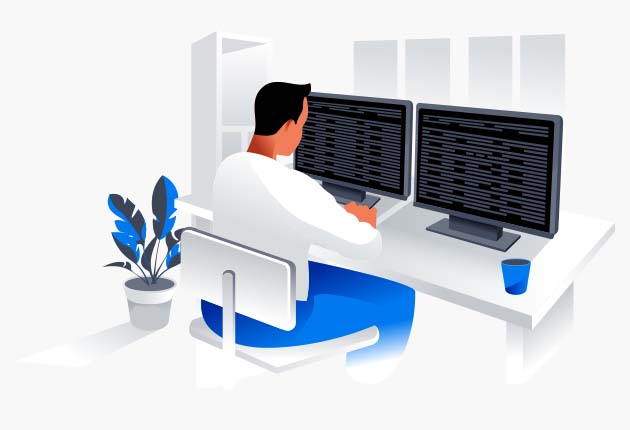 Custom Website Functionality Infographic