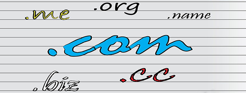 Selecting a Domain Name